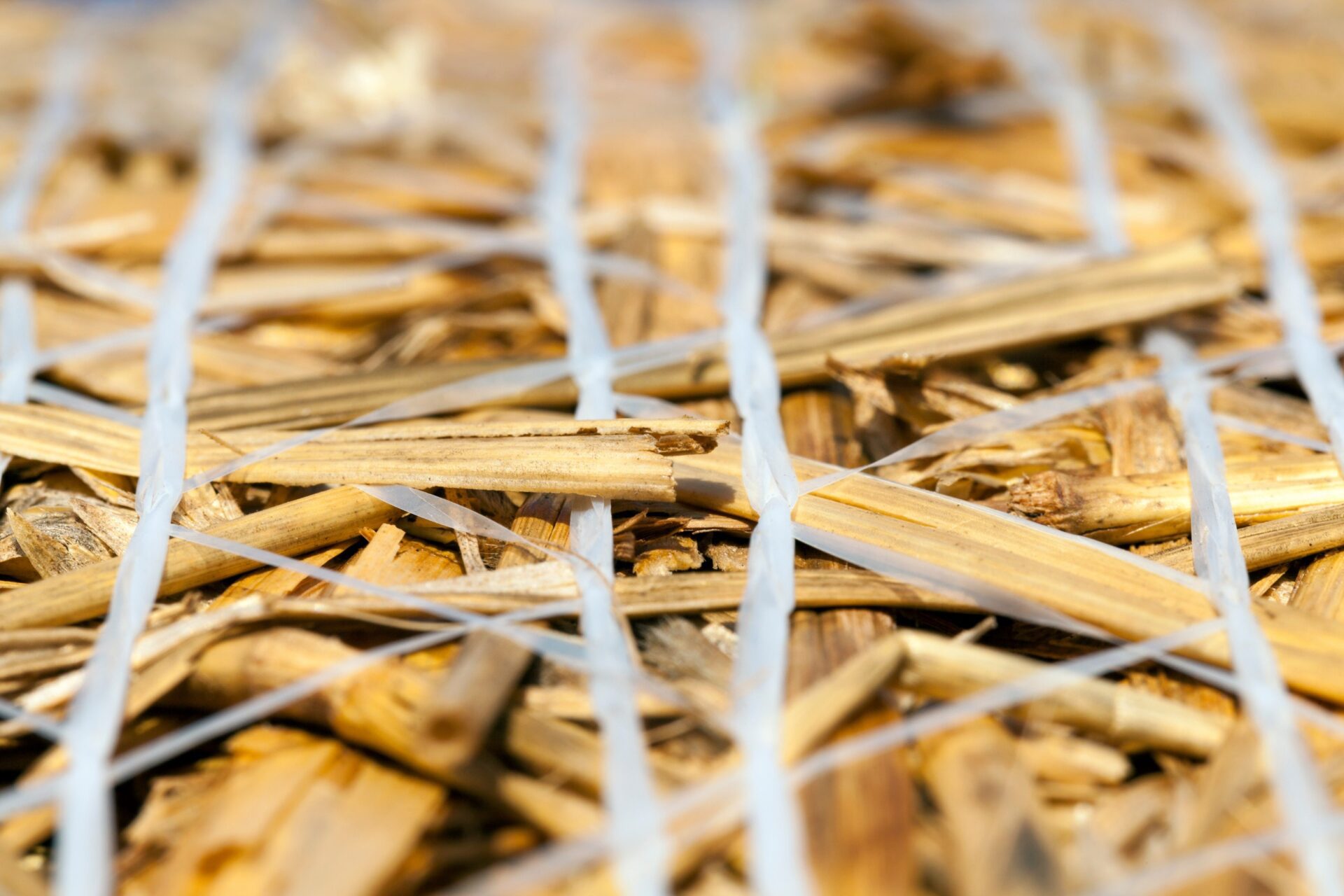 a stack of wheat straw, in which it is collected for storage a stack of wheat straw, in which it is collected for storage