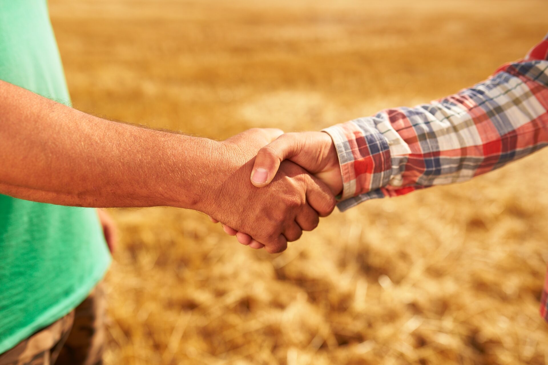 Farmer and agronomist silhouettes shaking hands standing in a wheat field after agreement in dusk Farmer and agronomist silhouettes shaking hands standing in a wheat field after agreement in dusk