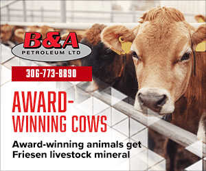 Award Winning Cows-Services Award Winning Cows-Services
