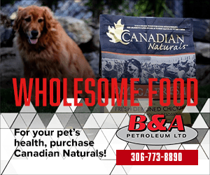 Wholesome Food-services Wholesome Food-services