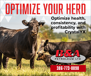 optimize your herd - services optimize your herd - services